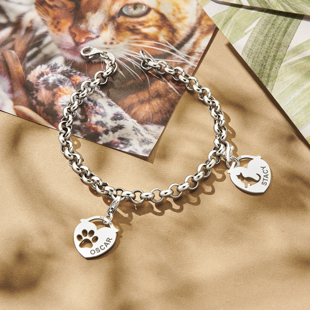 Pulsera de cadena rolo de plata de ley 925